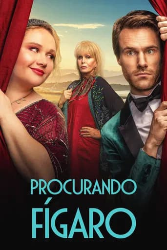 Pôster de Procurando Fígaro