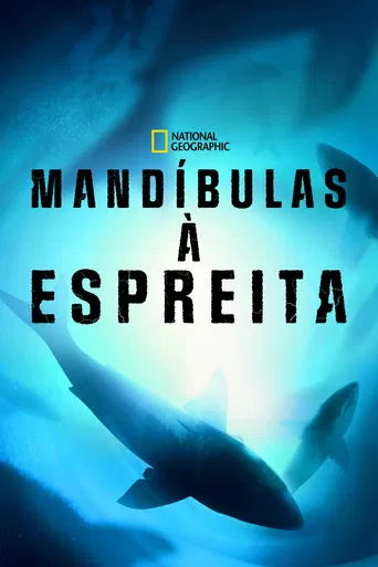 Pôster de Mandíbulas à Espreita