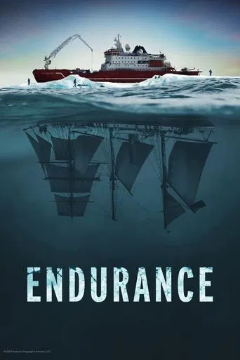 Pôster de Endurance