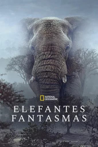 Pôster de Elefantes Fantasmas