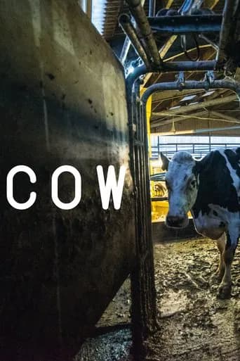 Pôster de Cow