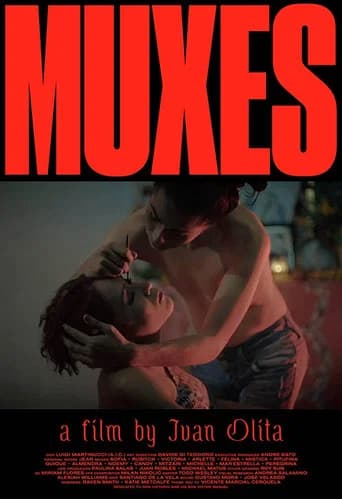 Pôster de Muxes