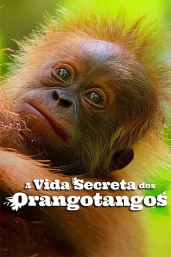 Pôster de A Vida Secreta dos Orangotangos