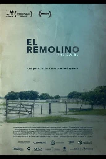 Pôster de El Remolino